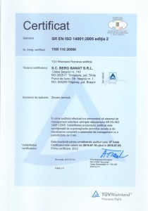 SR EN ISO 14001 2005 romana