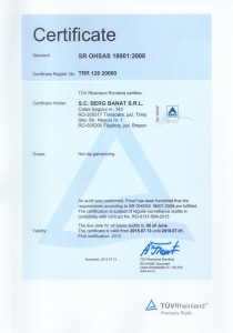 SR OHSAS 18001 2008 engleza